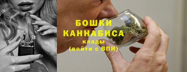 ПСИЛОЦИБИНОВЫЕ ГРИБЫ Балахна