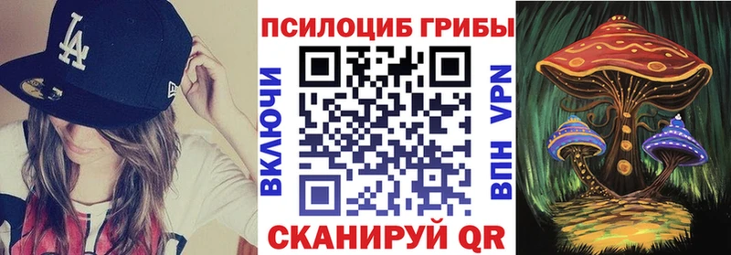 где найти   Обь  Галлюциногенные грибы MAGIC MUSHROOMS 